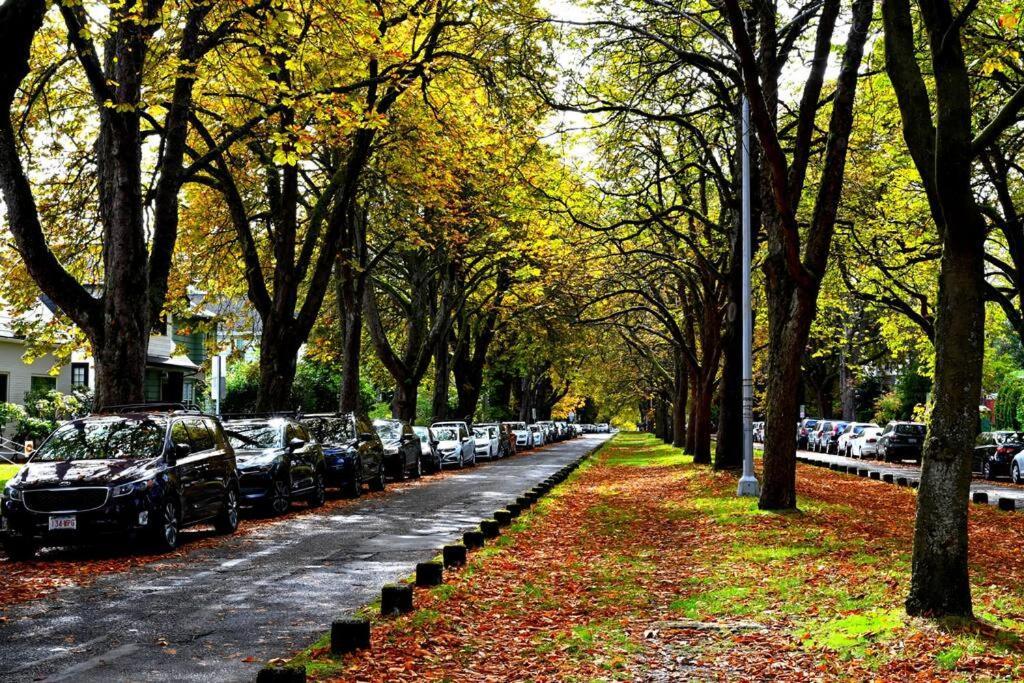 U-District Warmth 8 Mins Walk To Uw Villa Seattle Dış mekan fotoğraf